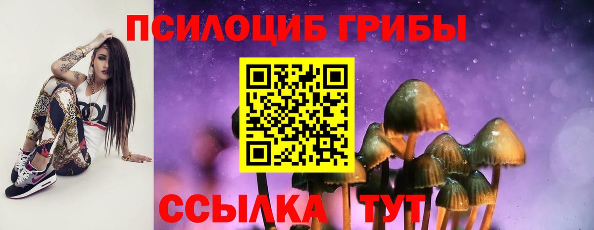 Псилоцибиновые грибы прущие грибы Тимашёвск
